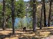 18379 LAKERIDGE HIDDEN VALLEY LAKE, CA 95467