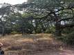 14335 NOBLE RANCH LOWER LAKE, CA 95457