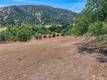 2309 INDIAN HILL CLEARLAKE OAKS, CA 95423