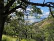 7524 BRUNER DRIVE GLENHAVEN, CA 95443