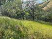 7524 BRUNER DRIVE GLENHAVEN, CA 95443