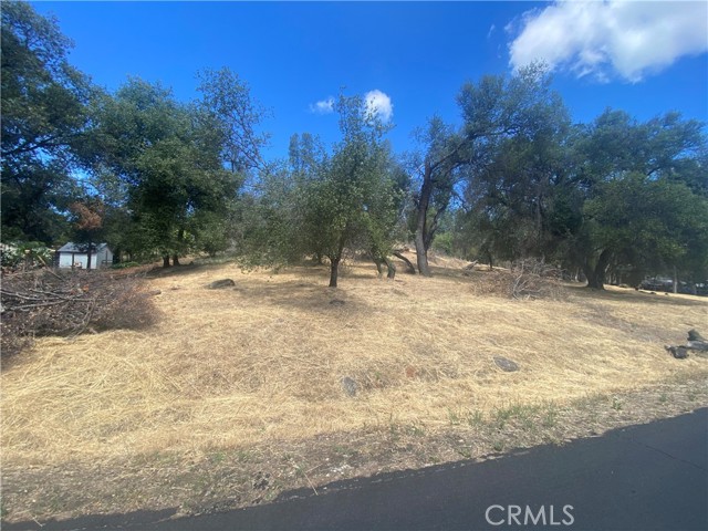 20393 POWDER HORN HIDDEN VALLEY LAKE, CA 95467