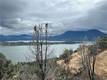 11120 PINGREE ROAD CLEARLAKE OAKS, CA 95423