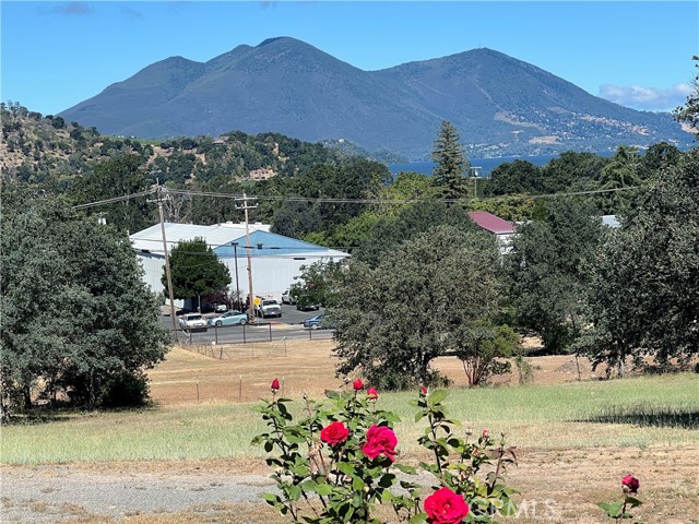 15100 LAKEVIEW CLEARLAKE, CA 95422