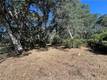 15100 LAKEVIEW CLEARLAKE, CA 95422