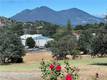 15100 LAKEVIEW CLEARLAKE, CA 95422