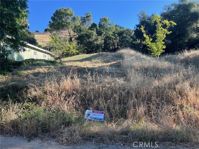 3936 FOOTHILL LUCERNE, CA 95458