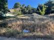 3936 FOOTHILL LUCERNE, CA 95458