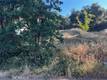 3936 FOOTHILL LUCERNE, CA 95458