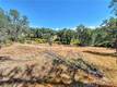1250 MOCKINGBIRD LAKEPORT, CA 95453