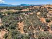 1250 MOCKINGBIRD LAKEPORT, CA 95453