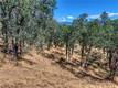 1250 MOCKINGBIRD LAKEPORT, CA 95453