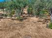 1250 MOCKINGBIRD LAKEPORT, CA 95453