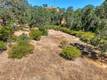 1250 MOCKINGBIRD LAKEPORT, CA 95453