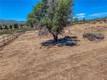 21738 YANKEE VALLEY HIDDEN VALLEY LAKE, CA 95467