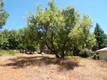 3252 WESTWOOD DRIVE KELSEYVILLE, CA 95451