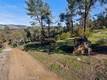 3522 FILMORE AVENUE CLEARLAKE, CA 95422
