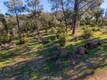 3522 FILMORE AVENUE CLEARLAKE, CA 95422