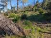 3522 FILMORE AVENUE CLEARLAKE, CA 95422