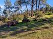 3522 FILMORE AVENUE CLEARLAKE, CA 95422