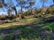 3522 FILMORE AVENUE CLEARLAKE, CA 95422