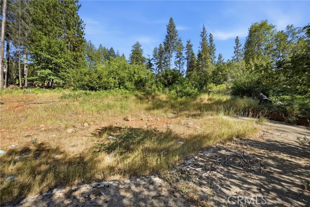 16132 PONDEROSA COBB, CA 95426