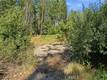 16132 PONDEROSA COBB, CA 95426