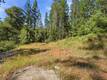 16132 PONDEROSA COBB, CA 95426