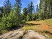 16132 PONDEROSA COBB, CA 95426