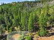 16132 PONDEROSA COBB, CA 95426