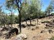 15686 23RD AVENUE CLEARLAKE, CA 95422