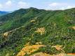 1545 HUNTER POINT ROAD UPPER LAKE, CA 95485
