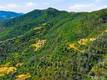 1545 HUNTER POINT ROAD UPPER LAKE, CA 95485