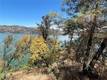 11480 NORTH CLEARLAKE, CA 95422