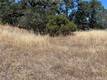 11480 NORTH CLEARLAKE, CA 95422