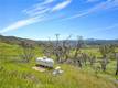 9250 SKY HIGH RIDGE ROAD LOWER LAKE, CA 95457