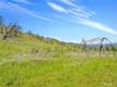 9250 SKY HIGH RIDGE ROAD LOWER LAKE, CA 95457