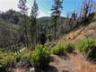 13627 VIEW ROAD COBB, CA 95426