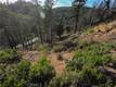 13627 VIEW ROAD COBB, CA 95426