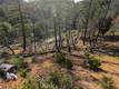13627 VIEW ROAD COBB, CA 95426