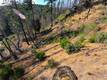 13627 VIEW ROAD COBB, CA 95426