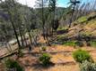 13627 VIEW ROAD COBB, CA 95426