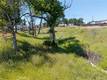 17105 DEER PARK LOWER LAKE, CA 95457