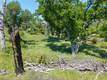 17105 DEER PARK LOWER LAKE, CA 95457