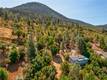 3167 SKYLINE DRIVE KELSEYVILLE, CA 95451