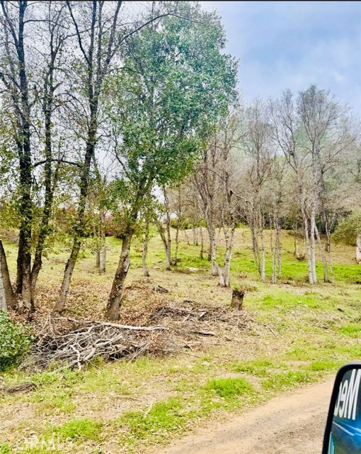 5976 ARMIJO CLEARLAKE, CA 95422