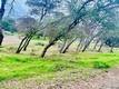 5976 ARMIJO CLEARLAKE, CA 95422