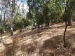 10465 BOREN BEGA DRIVE KELSEYVILLE, CA 95451