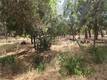10465 BOREN BEGA DRIVE KELSEYVILLE, CA 95451