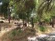 10465 BOREN BEGA DRIVE KELSEYVILLE, CA 95451